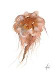 Nordic Wild Kunsttrykk Manet EO 30x40cm Akvarellpapir (672-272010)