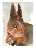 Nordic Wild Kunsttrykk Ekorn 30x40cm Akvarellpapir (672-272007)