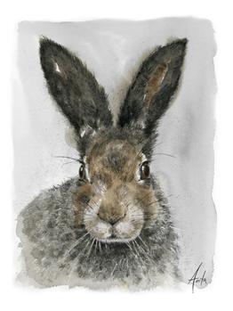 Nordic Wild Kunsttrykk Hare 30x40cm Akvarellpapir