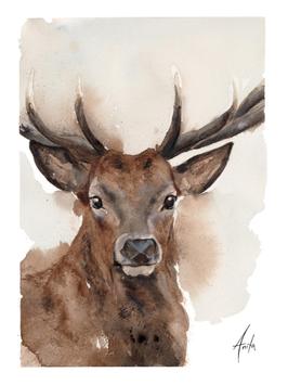 Nordic Wild Kunsttrykk Hjort 30x40cm Akvarellpapir (672-272004)