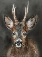 Nordic Wild Kunsttrykk Rådyr 30x40cm Akvarellpapir