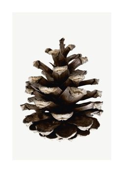 Storefactory Poster Kongle 30x40cm (516-811121)