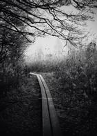 Storefactory Poster Early Walk 50x70