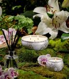 Voluspa Mokara Duftlys 3-veker 40t (703-V7228)