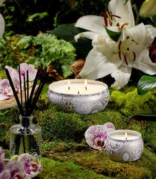 Voluspa Mokara Duftlys 3-veker 40t (703-V7228)