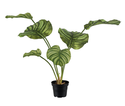 Mr Plant Kunstig Plante Calathea H55cm