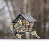 Wildlife Garden Fuglemater Gitter Svart (641-WG3343)