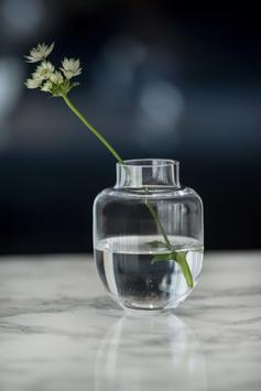 Finn Schjøll Family Vase Klar Ø9xH11