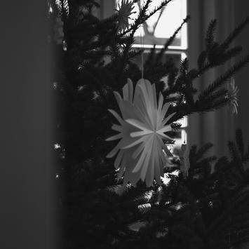 dbkd Julestjerne Paper Flake Hvit 28cm (402-MO77000111)