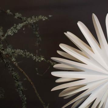 dbkd Julestjerne Paper Flake Hvit 40cm (402-MO77000111XL)