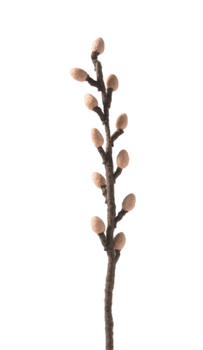 Aveva  Ullblomst Gåsunger Natur (717-2158)