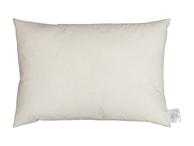 Norsk Dun Innerpute 40x60cm (479-116582)