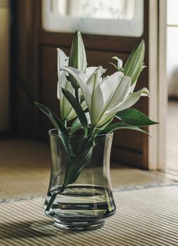 Hadeland Glassverk Hanabi Lykt/Vase 25,5cm