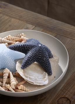 Riviera Maison Stearinlys Sjøstjerne Mørk Blå (443-536250)