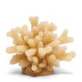 Riviera Maison Stearinlys Coral Lys Beige (443-536690)