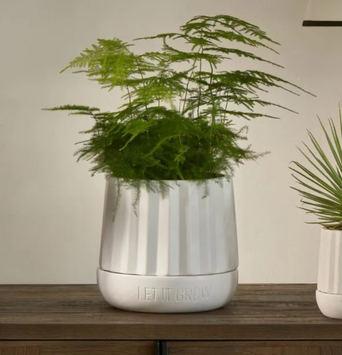 Riviera Maison Potte Hvit Ø20xH18,5