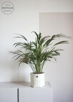 Handed By Kurv Ecru Rund Ø19xH16