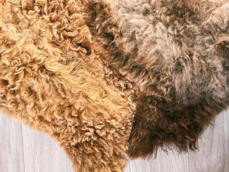 Granberg  Norsk Villsauskinn Brun 90x45 (688-2001129-brown)