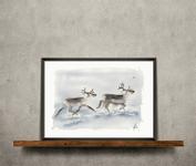 Nordic Wild Kunsttrykk Reinsdyr 30x40cm Akvarellpapir (672-272014)