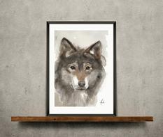 Nordic Wild Kunsttrykk Ulv 30x40cm Akvarellpapir