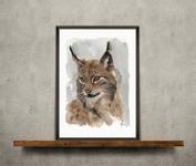 Nordic Wild Kunsttrykk Gaupe 30x40cm Akvarellpapir (672-272002)