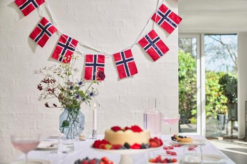 Celebrate  Flaggranke Norske Flagg 5,4m