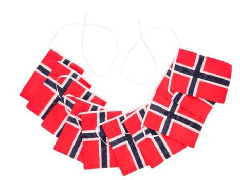 Celebrate  Flaggranke Norske Flagg 5, 4m (379-28569)