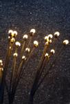 Fireflies LED-lys Solcelle 2pk (ILDFLUE-8PK)