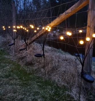 Fireflies Solcellelys 2pk (ILDFLUE-8PK)