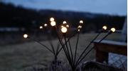 Fireflies Solcellelys 2pk (ILDFLUE-8PK)