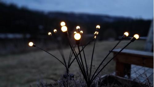  Fireflies LED-lys Solcelle 2pk