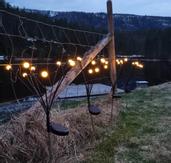 Fireflies Solcellelys 2pk (ILDFLUE-8PK)