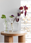 Sagaform Vase Viva Klar Ø12xH14.5 (575-5018374)