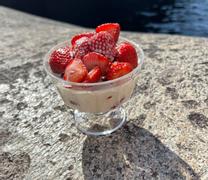 Riviera Maison Skål Poolside Plast