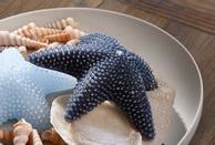 Riviera Maison Stearinlys Sjøstjerne Mørk Blå (443-536250)