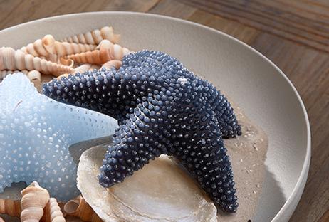 Riviera Maison Stearinlys Sjøstjerne Mørk Blå