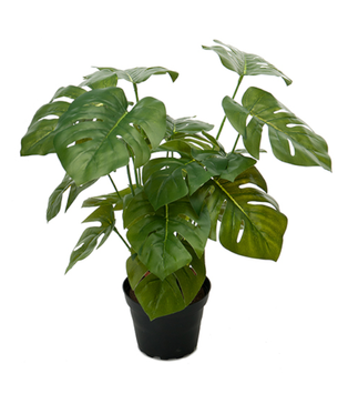Mr Plant Kunstig Plante Monstera H30