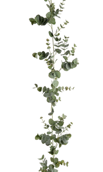 Mr Plant Eucalyptus Girlander L190 (260-9568-90)