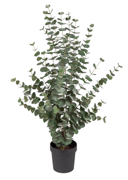 Mr Plant Kunstig Plante Eucalyptus H110