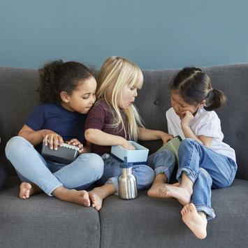 Blafre Stålflaske Rød kork 500ml  (170-4575)