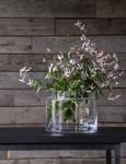 Halvor Bakke Old Farm Collection Vase Klar Ø25xH20 (655-307030)