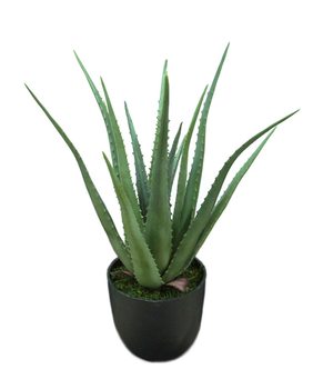 Mr Plant Kunstig Plante Aloe Vera H55