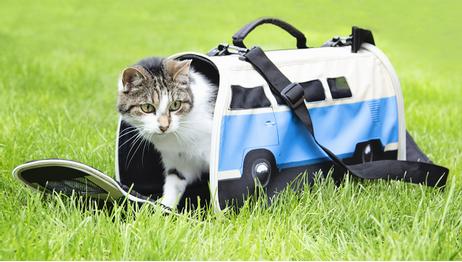 VW Camper Van Reiseveske PetCarrier Sammenleggbart