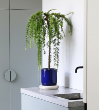 Klevering Churros Blomsterpotte L Ø24,5xH25 Blå  (712-3539-01)