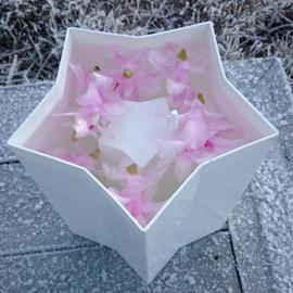 NICE Islykt stjerneform 20cm  (173-10202)