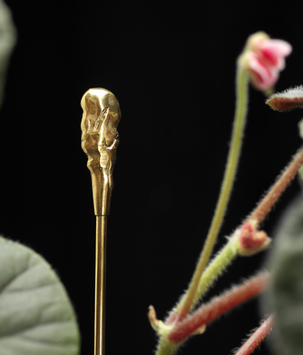 Garden Glory Blomsterpinne Organisk (730-19521)