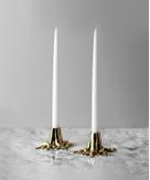 Garden Glory Lysestake Root Messing (1stk) (730-170)