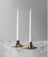 Garden Glory Lysestake Root Messing (1stk)