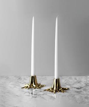 Garden Glory Lysestake Root Messing (1stk)