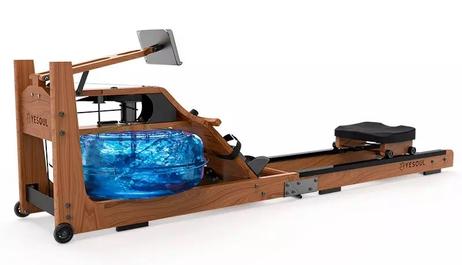 Xiaomi Yesoul Romaskin med vannmotstand (YESOUL-R30)